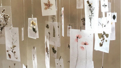 Herbarium / Kunst som knopskyder
